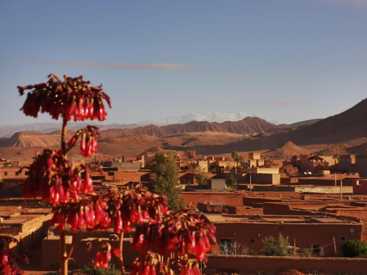 Riad Tigmi du Soleil Ait-Ben-Haddou Eksteriør billede