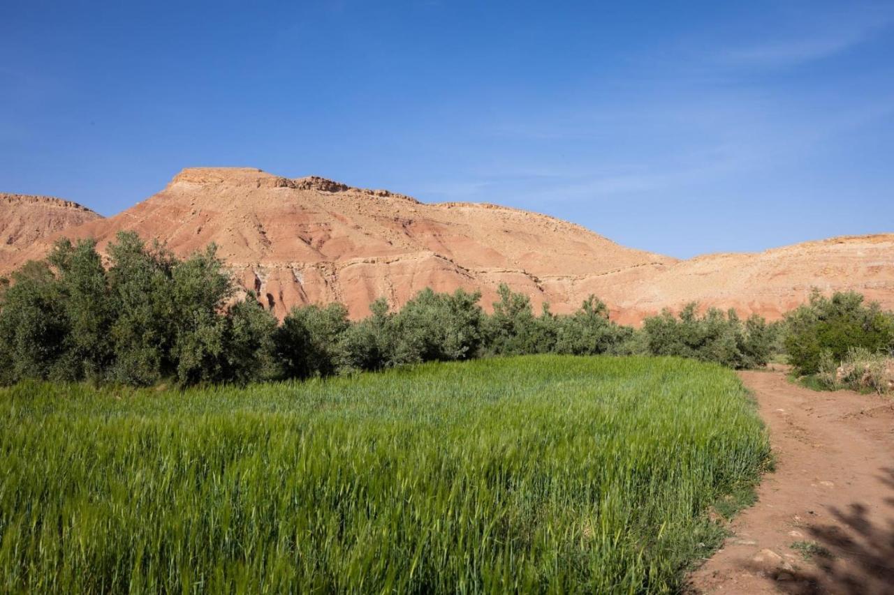 Riad Tigmi du Soleil Ait-Ben-Haddou Eksteriør billede