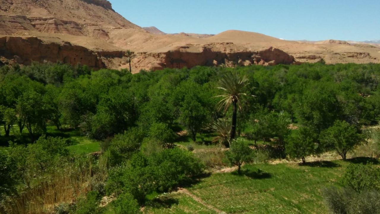 Riad Tigmi du Soleil Ait-Ben-Haddou Eksteriør billede